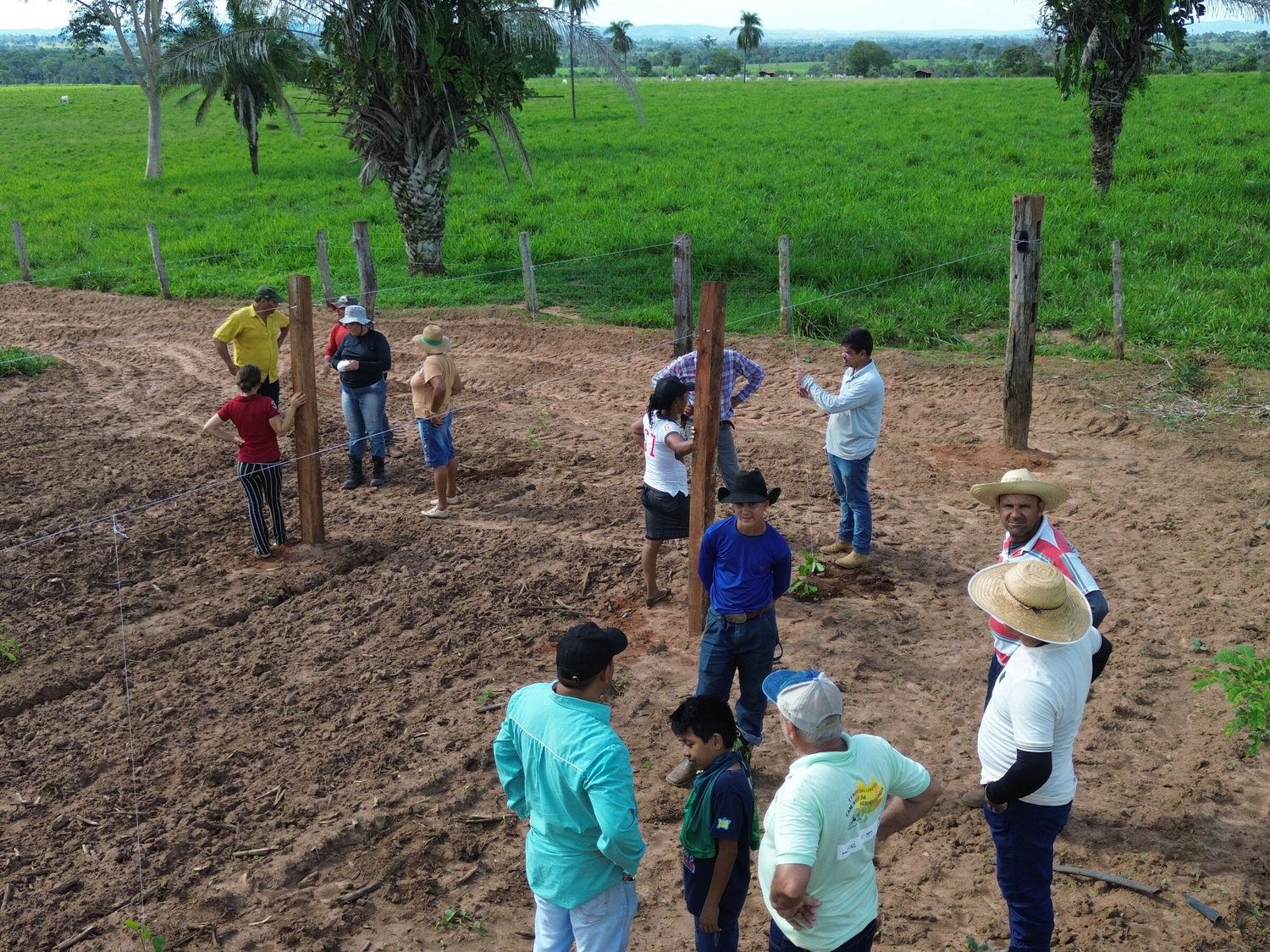 Oficina de campo sobre sistemas agroflorestais com agricultores e técnicos
