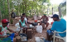 Comunidade extrativista