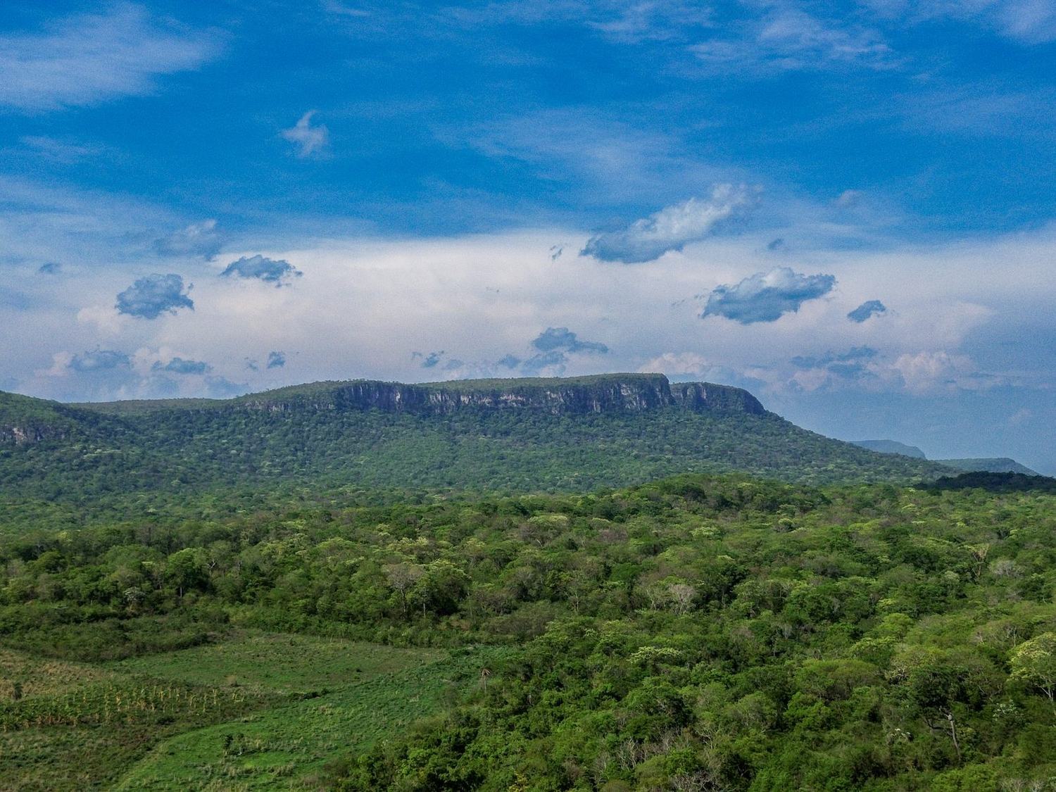 Vista aérea da serra do Portal do Encantado, com paredões de pedra sobre a mata e as roças da Terra Indígena