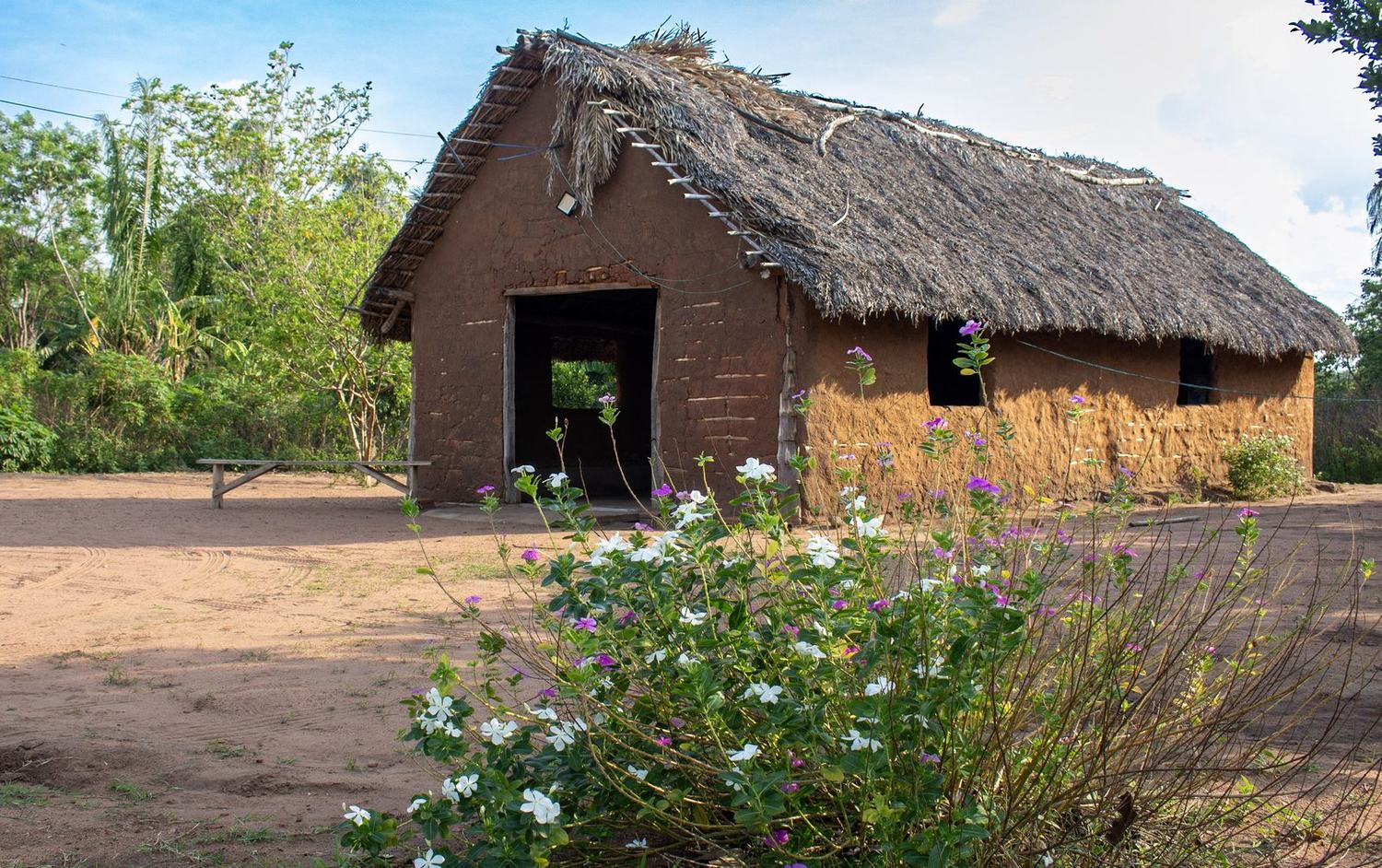 Casa de barro e palha com flores brancas em primeiro plano