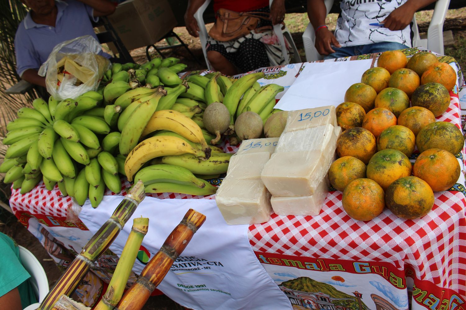 Banca com bananas, laranjas, queijo e cana-de-açúcar