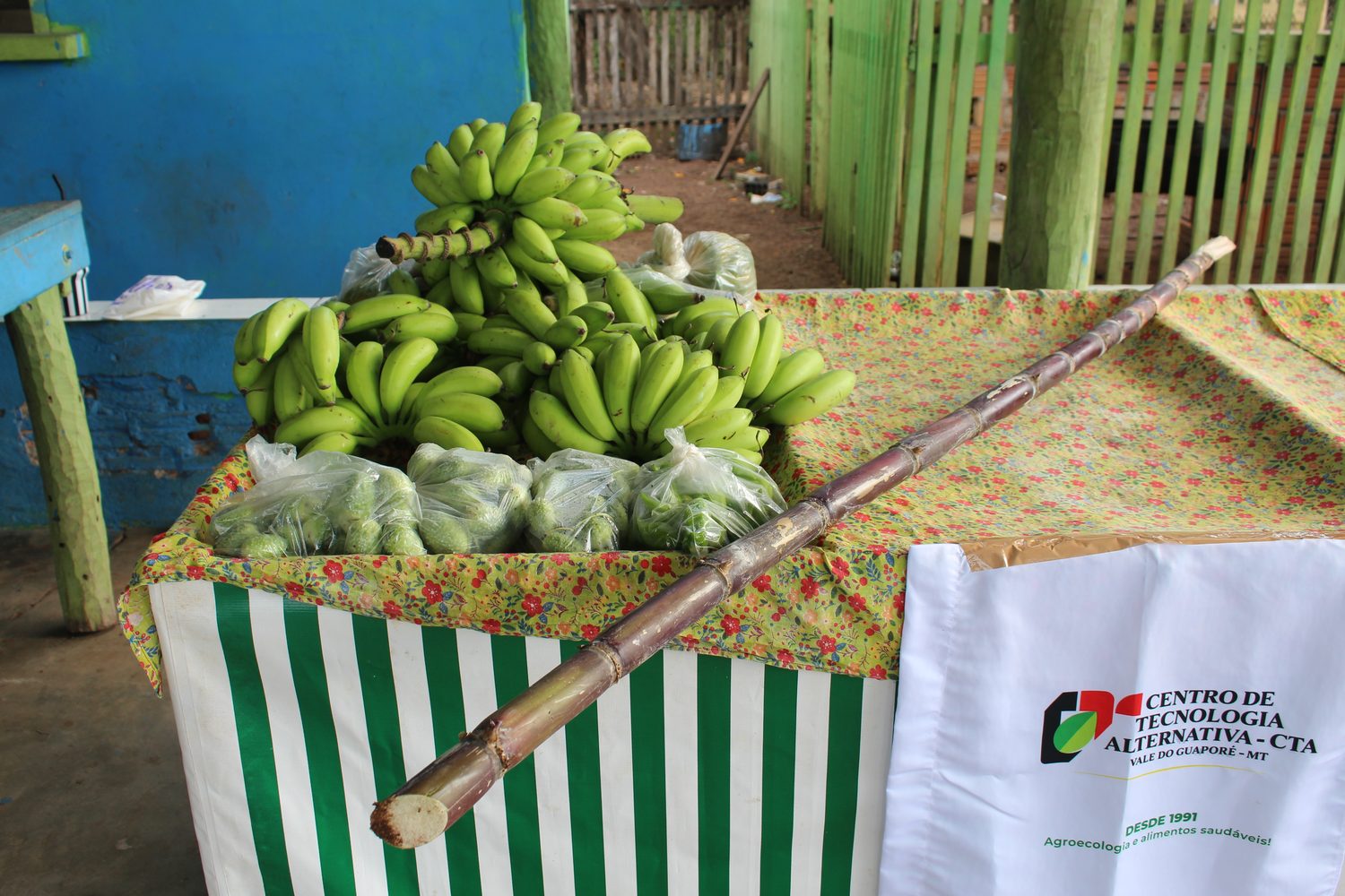 Cachos de banana e cana sobre a banca forrada com a toalha do CTA