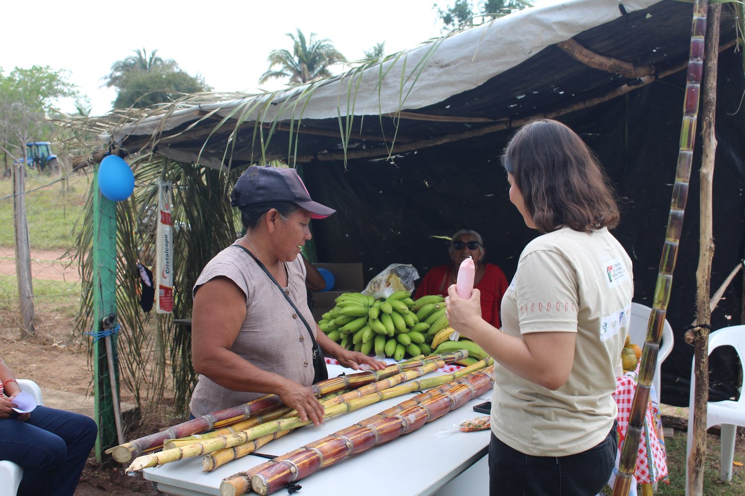 Agricultora atende na banca com cana e banana