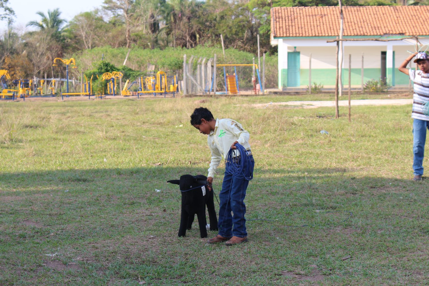 Menino laça o bezerro de mentira no campo