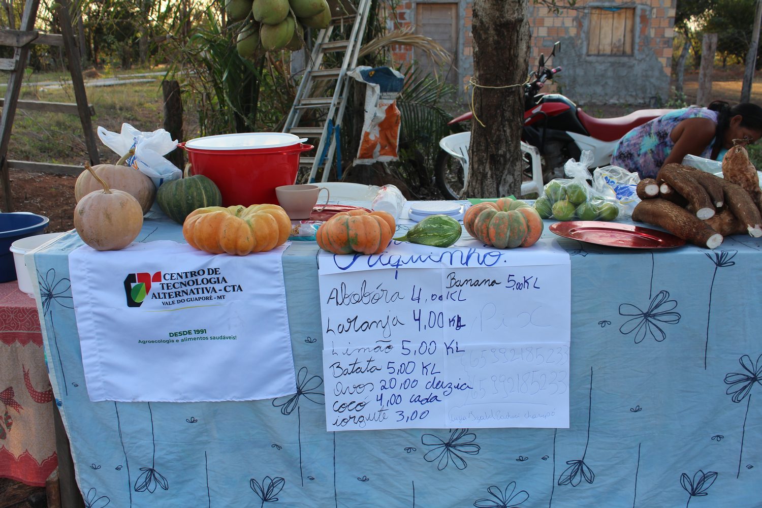 Banca com abóboras e mandioca e cartaz escrito à mão com os preços de abóbora, laranja, limão, batata, ovos, coco e urucum