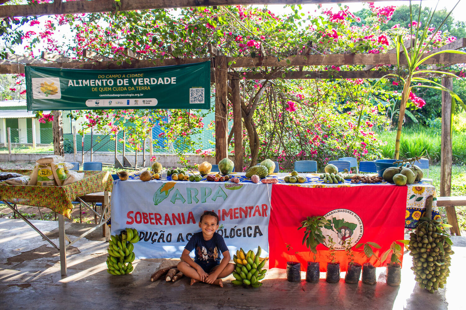 Banca da feira montada sob o caramanchão da sede da ARPA, com bandeira da associação, abacaxis, bananas e mudas sobre a mesa