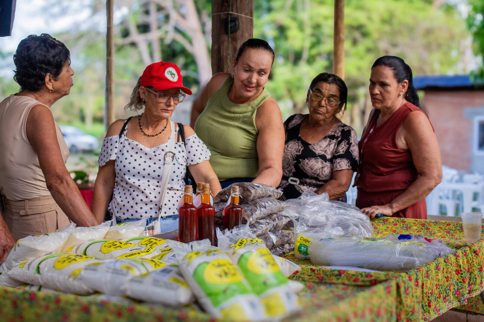 Agricultoras reunidas atrás da banca com conservas, farinhas e produtos processados em casa