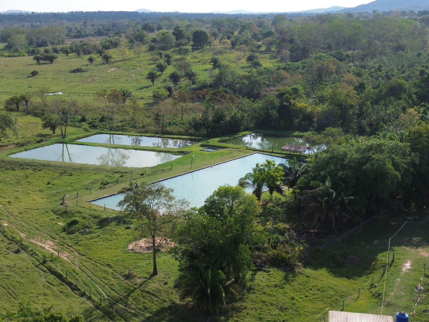 Vista aérea do Assentamento Roseli Nunes, com tanques de piscicultura, áreas produtivas e mata ao redor