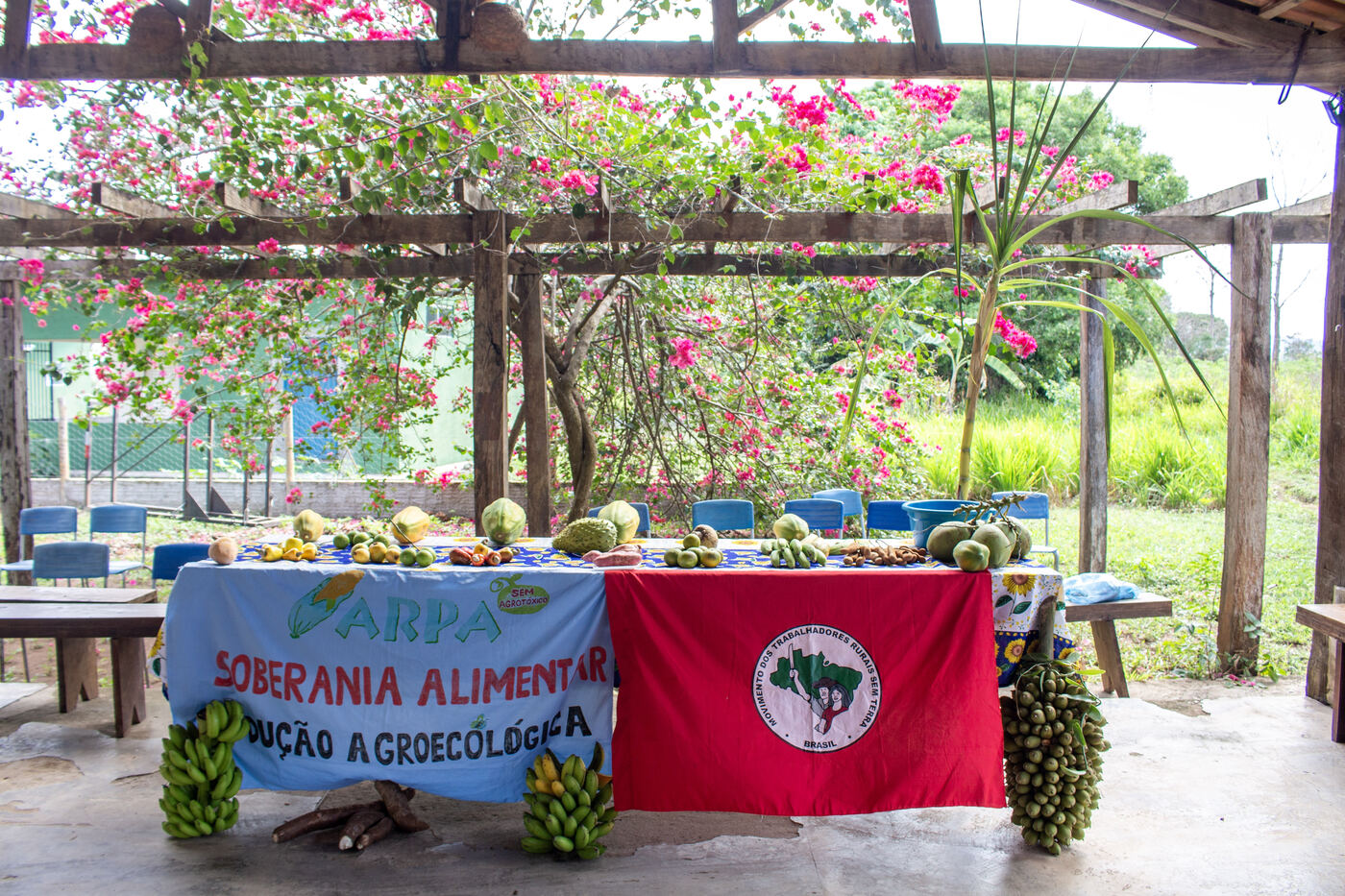 Mesa da feira preparada com a faixa da ARPA — soberania alimentar e produção agroecológica