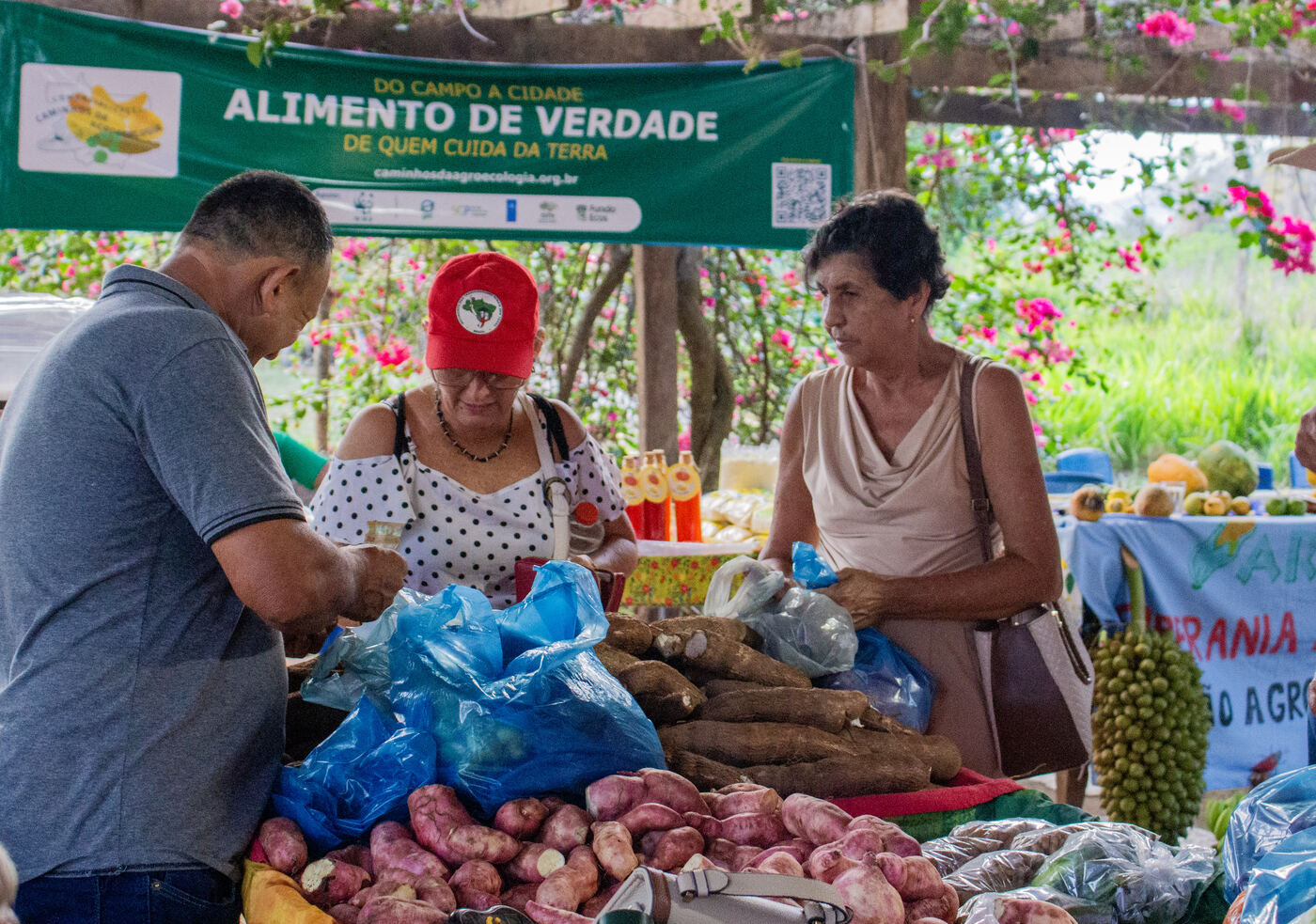 Agricultores atendendo consumidores na banca de raízes e tubérculos