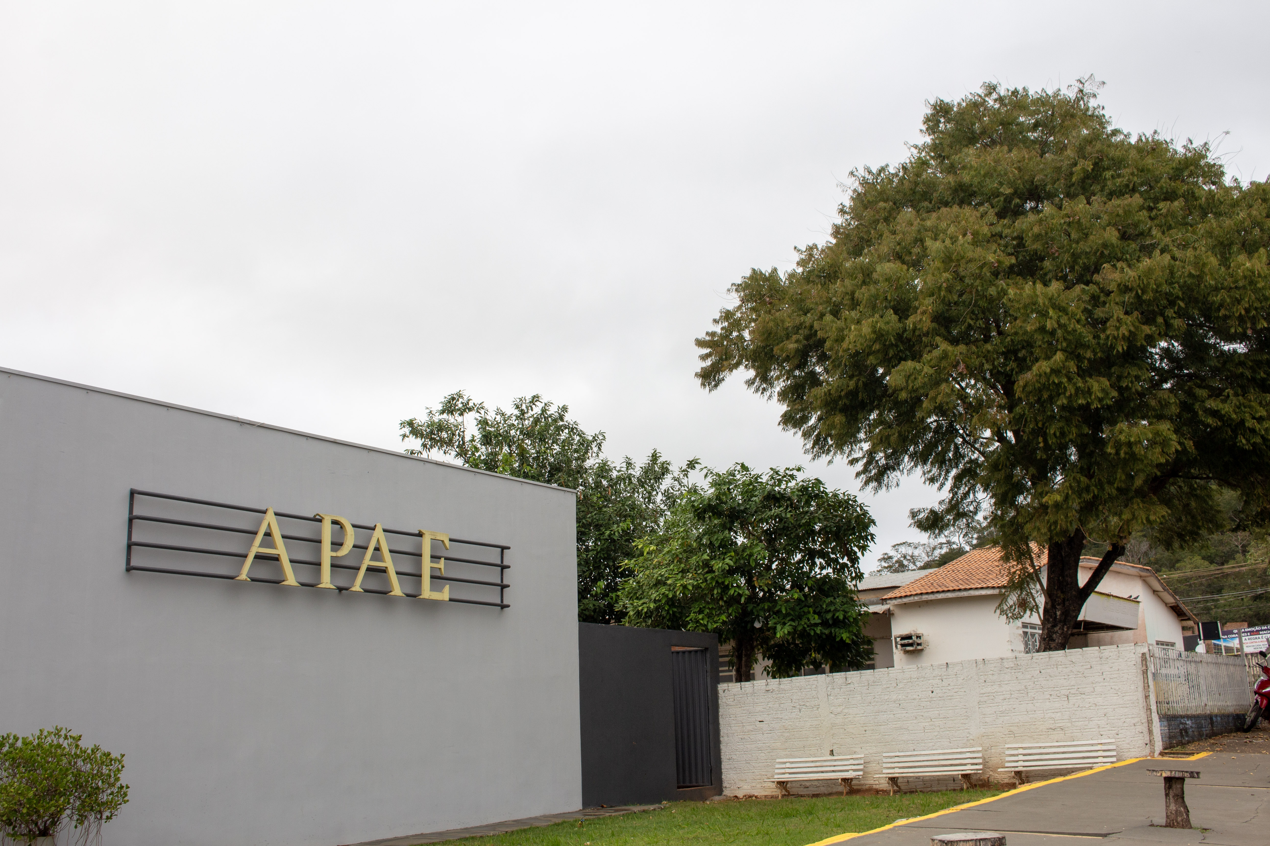 Fachada externa da APAE com árvore de jacarandá — Pontes e Lacerda (MT)