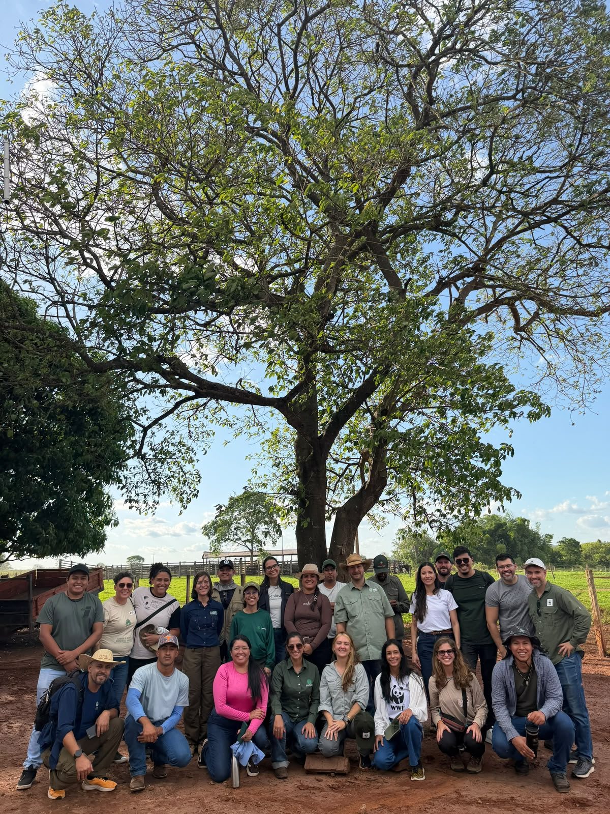 Participantes do encontro reunidos para foto sob uma árvore grande