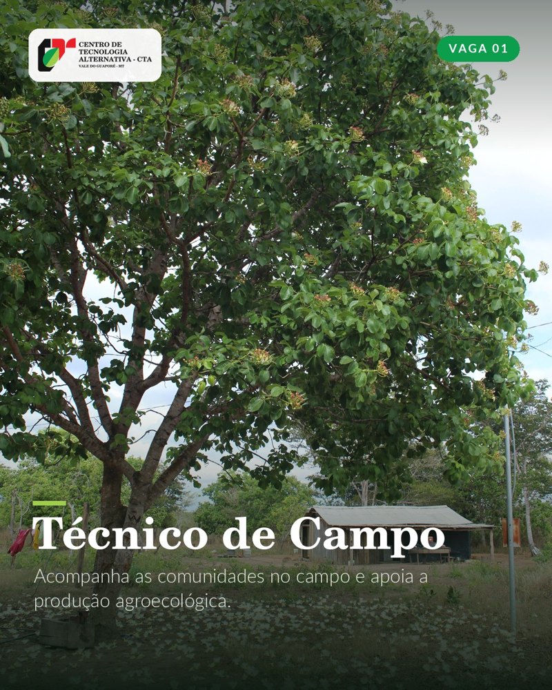 Card da vaga de Técnico de Campo do CTA
