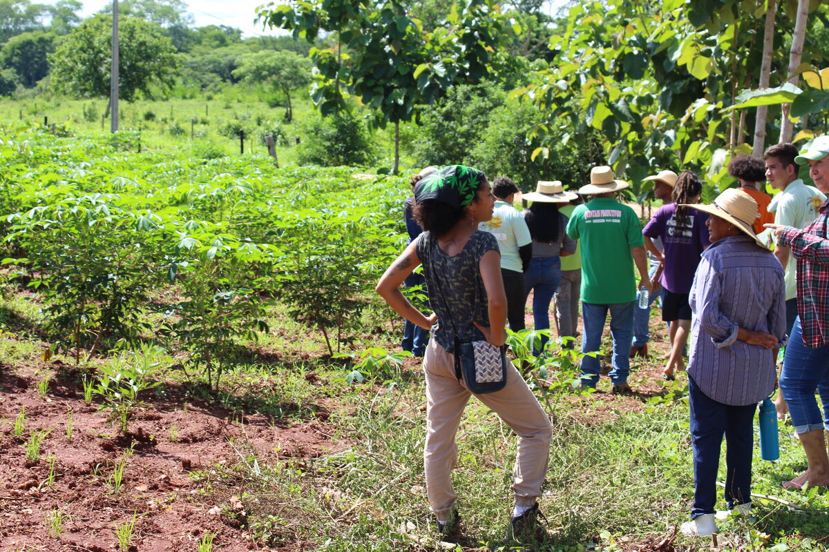Agricultoras e agricultores familiares em visita de campo na lavoura