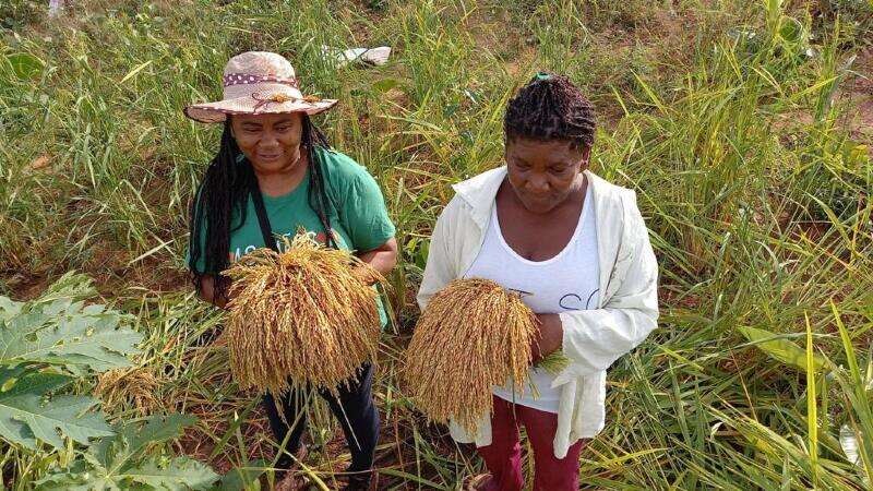 Comunidade quilombola — povos tradicionais beneficiados pela Resolução FNDE nº 11/2026