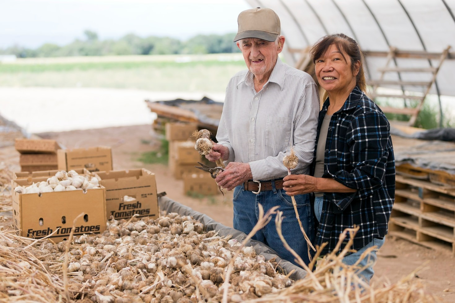 Agroecologia no Mato Grosso: Uma Revolução Verde